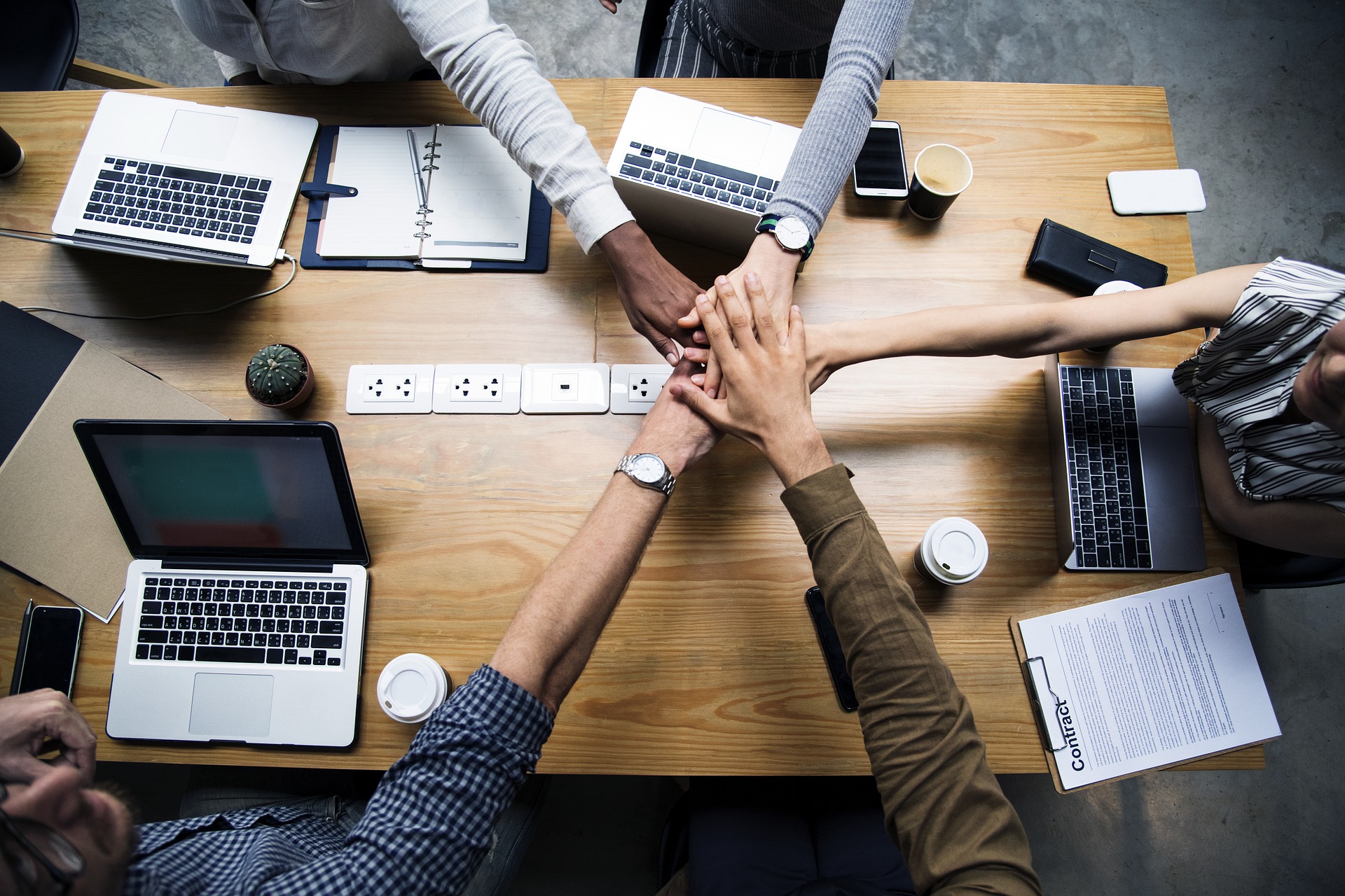 Top Ways PEOs Can Increase Your Profitability