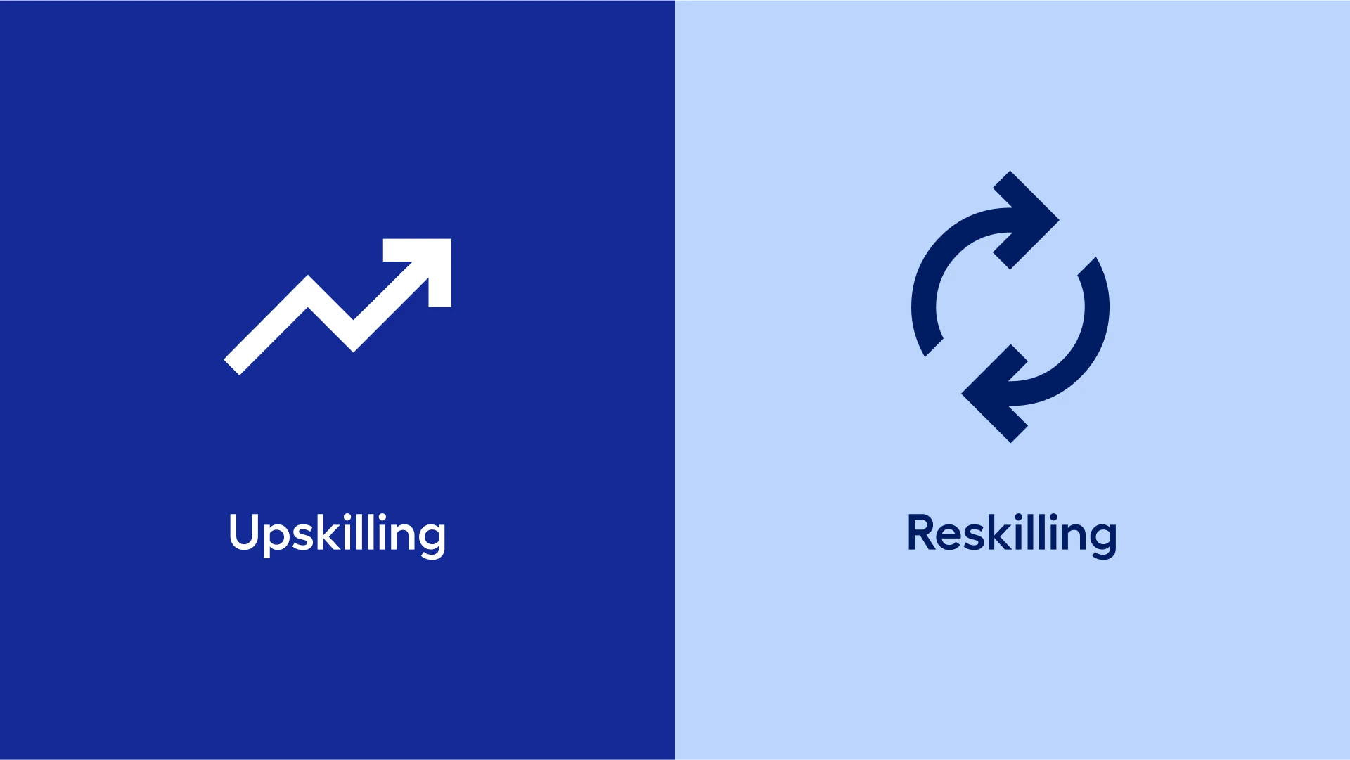 Upskilling and Reskilling Programs